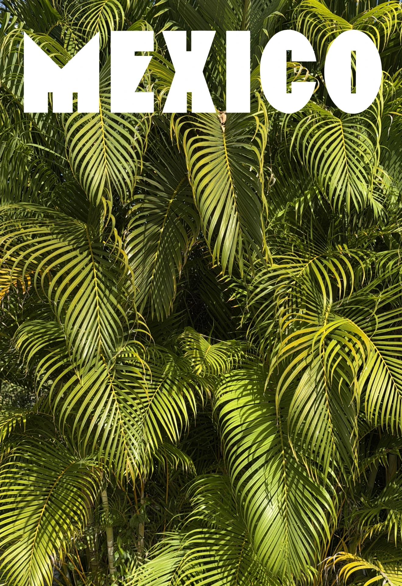 MEXICO